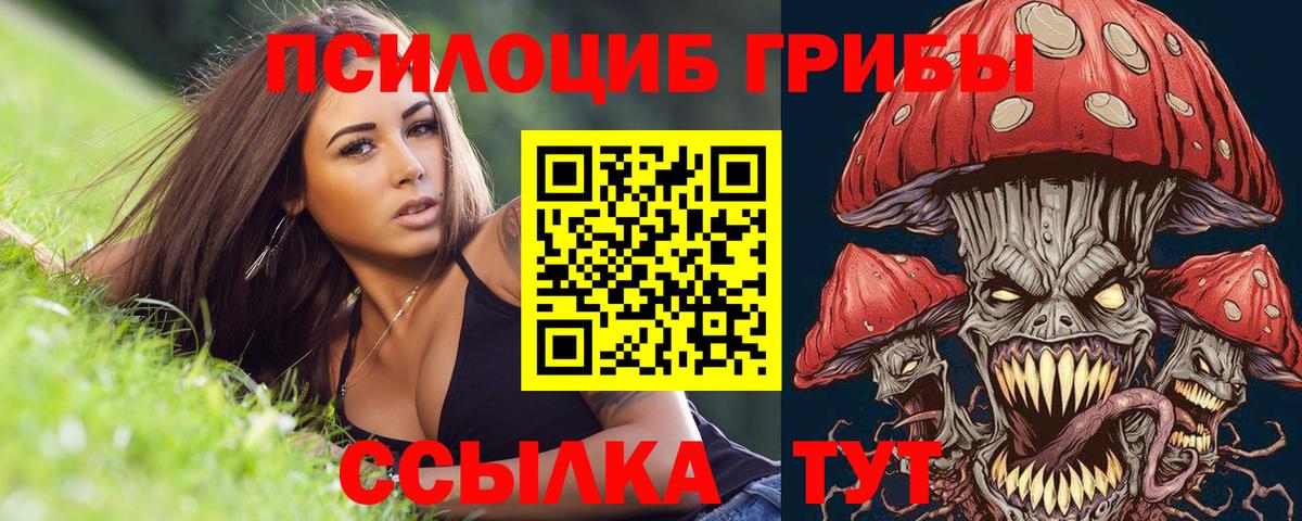 наркота  Вход с VPN  Еманжелинск  Галлюциногенные грибы мухоморы  Галлюциногенные грибы Psilocybine cubensis 