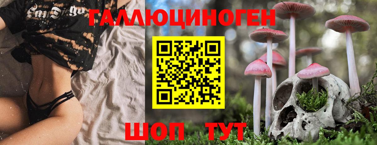 Галлюциногенные грибы Psilocybe Еманжелинск
